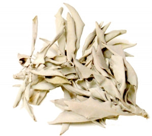 White Sage Leaves & Clusters Bulk 1 OZ