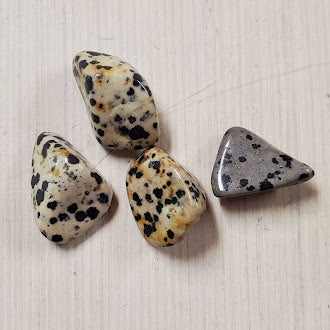 Dalmatian Stone