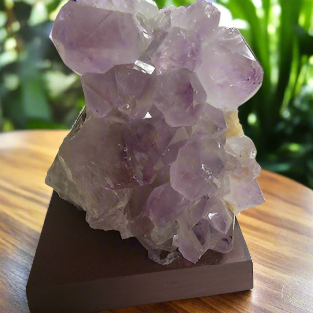 Light Purple Amethyst Druzy on Wood Base