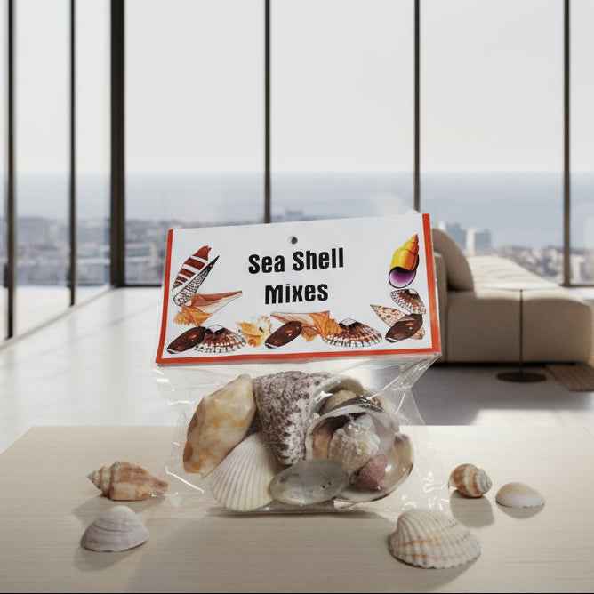 Sea Shell Mix - Beautiful Natural Decor for Coastal and Beach-Themed Projects