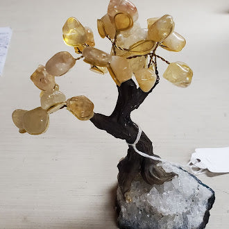 Medium Brazilian Citrine Tree W/Crystal Base
