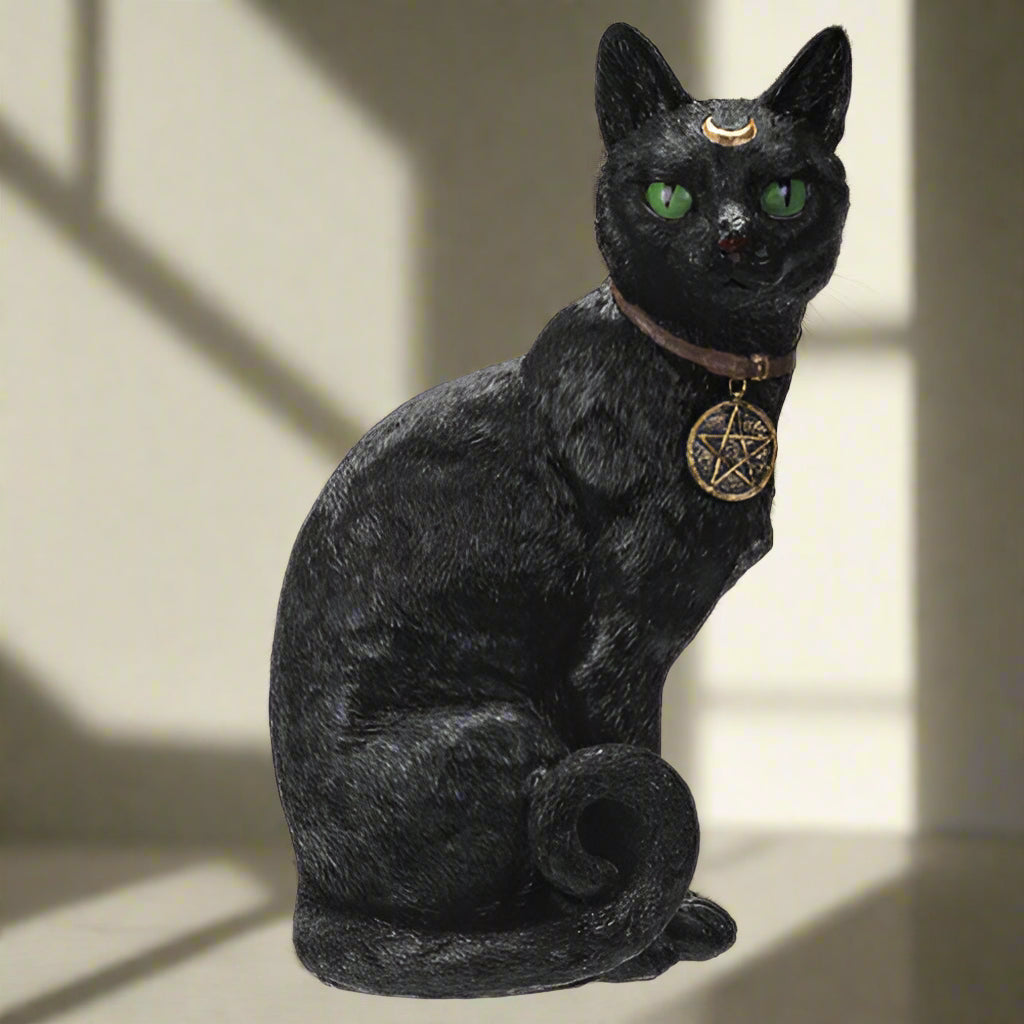 Black Cat