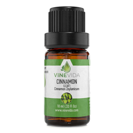 Natural Cinnamon Leaf Essential Oil - 100% Pure Undiluted Therapeutic Grade Oil by VINEVIDA -10mL Cinnamon Leaf Diffuser Aromatherapy - Cinnamon Leaf Oil for Digestion, Weight Loss, Pain & More