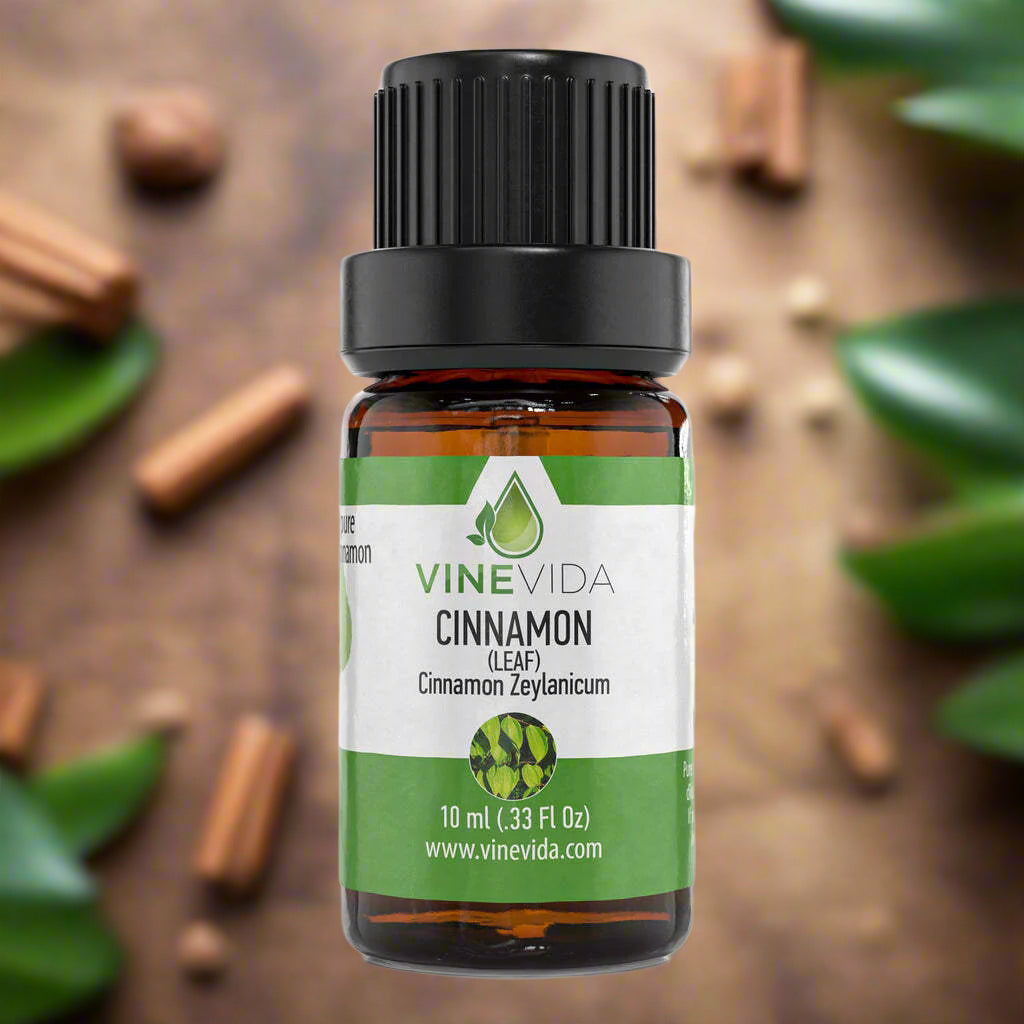 Natural Cinnamon Leaf Essential Oil - 100% Pure Undiluted Therapeutic Grade Oil by VINEVIDA -10mL Cinnamon Leaf Diffuser Aromatherapy - Cinnamon Leaf Oil for Digestion, Weight Loss, Pain & More