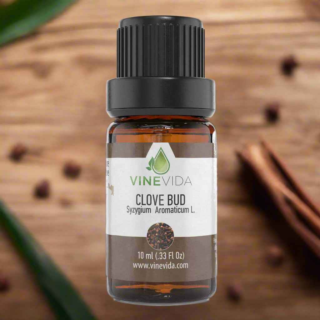 Natural Clove Bud Essential Oil - 100% Pure Undiluted Therapeutic Grade Clove Bud Oil by VINEVIDA - 10 mL Clove Bud Diffuser Aromatherapy - Clove Bud Oil for Digestion, Energy, Pain & More