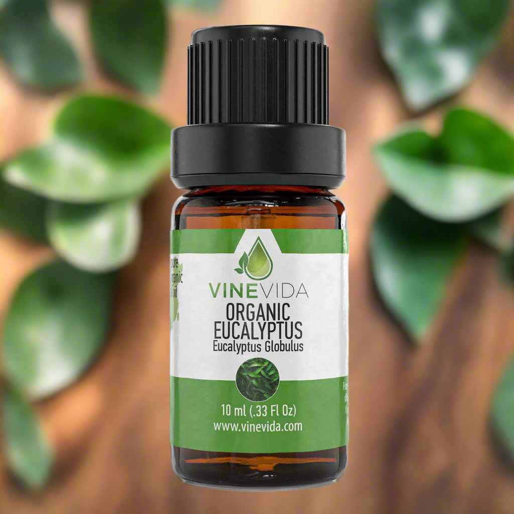 Natural Organic Eucalyptus Essential Oil - 100% Pure Undiluted Organic Therapeutic Grade Oil by VINEVIDA - 10mL Eucalyptus Diffuser Aromatherapy - Organic Eucalyptus Oil for Pain & More (10mL)