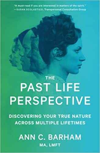 The Past Life Perspective Book
