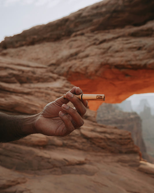 person holding white cigarette stick