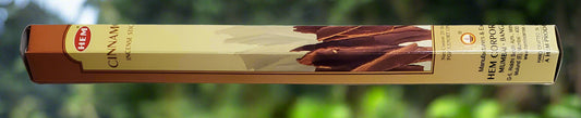 Hem Hexagon Cinnamon Incense Sticks