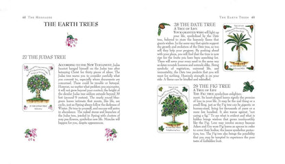 The Tree Magick Oracle Deck: Includes 52 cards and a 64-page illustrated book