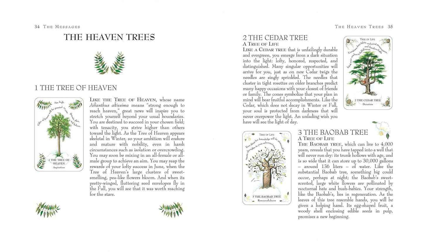 The Tree Magick Oracle Deck: Includes 52 cards and a 64-page illustrated book