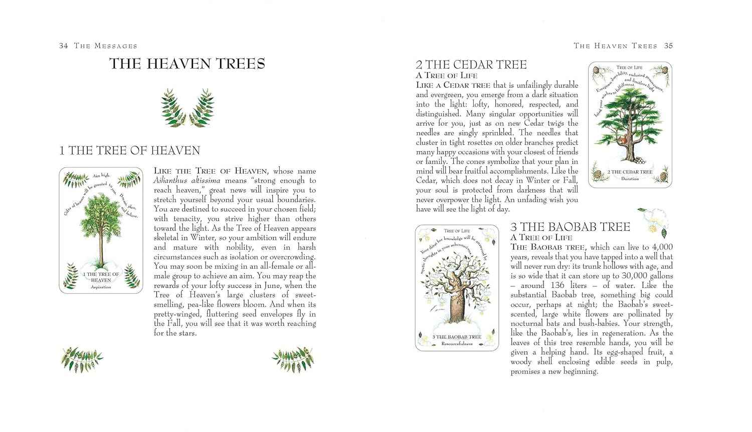 The Tree Magick Oracle Deck: Includes 52 cards and a 64-page illustrated book