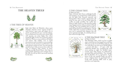 The Tree Magick Oracle Deck: Includes 52 cards and a 64-page illustrated book