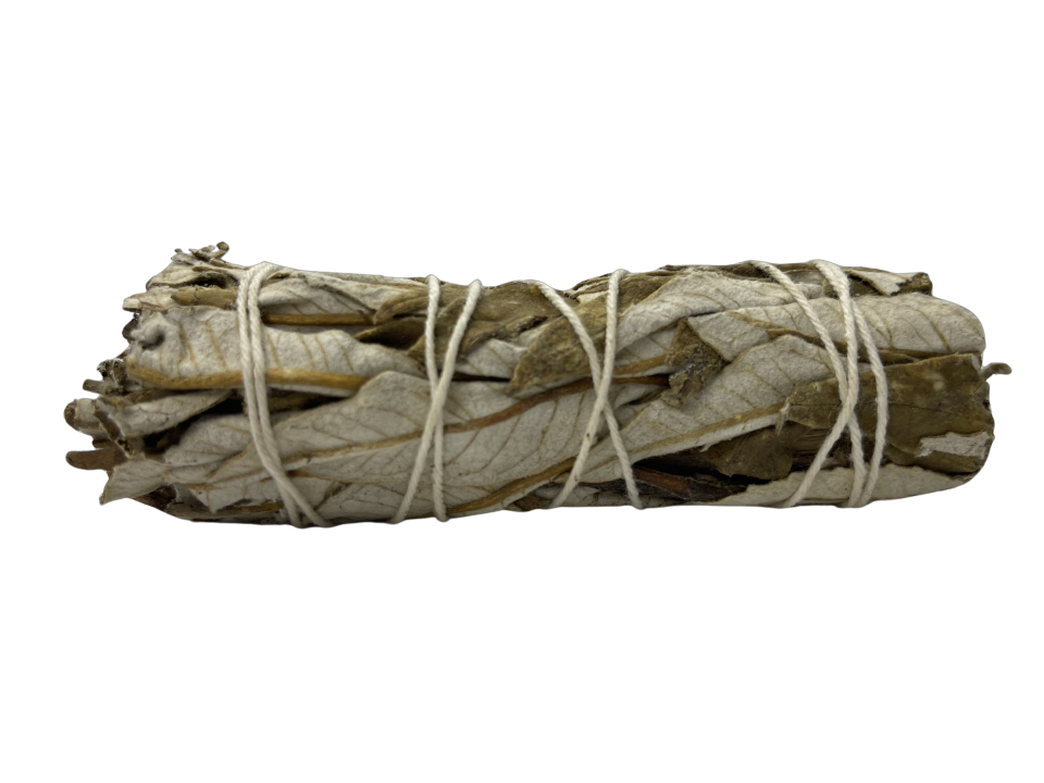 Yerba Santa Smudge Stick – 4"