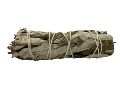 Yerba Santa Smudge Stick – 4"