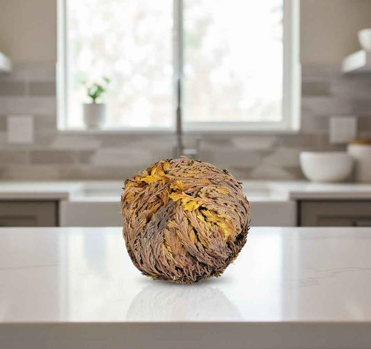 Rose of Jericho - Revitalize Your Space with the Miracle Plant