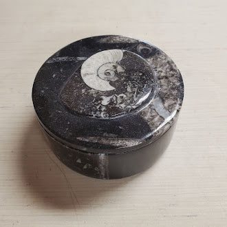 Orthoceras Fossil Jewelry Box