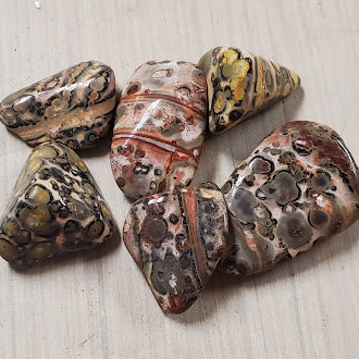 Leopardskin Tumbled Gemstone