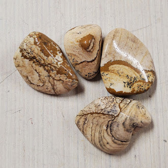 Picture Jasper Tumbled Gemstone