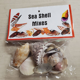 Sea Shell Mix