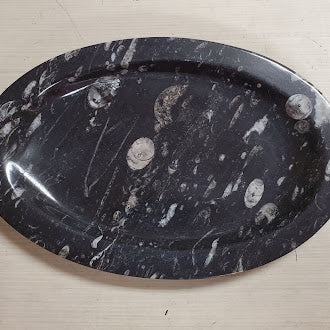 Orthoceras Fossil Plate