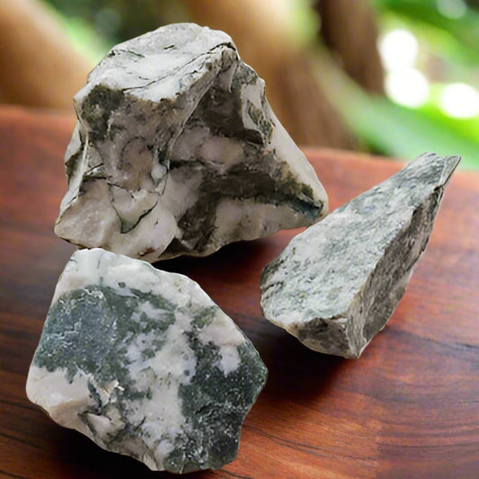 Tree Agate Rough Stone