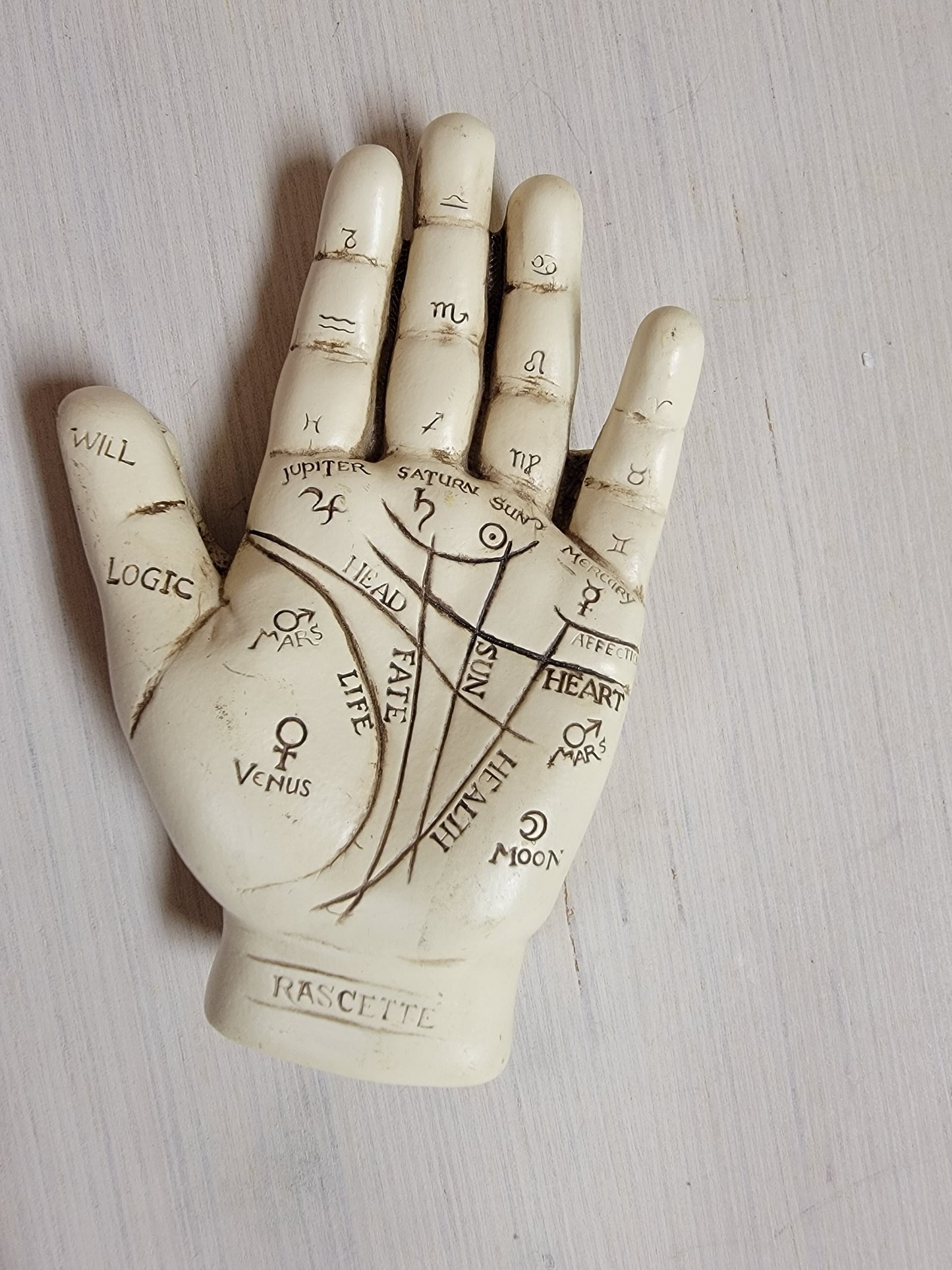 Palmistry Hand