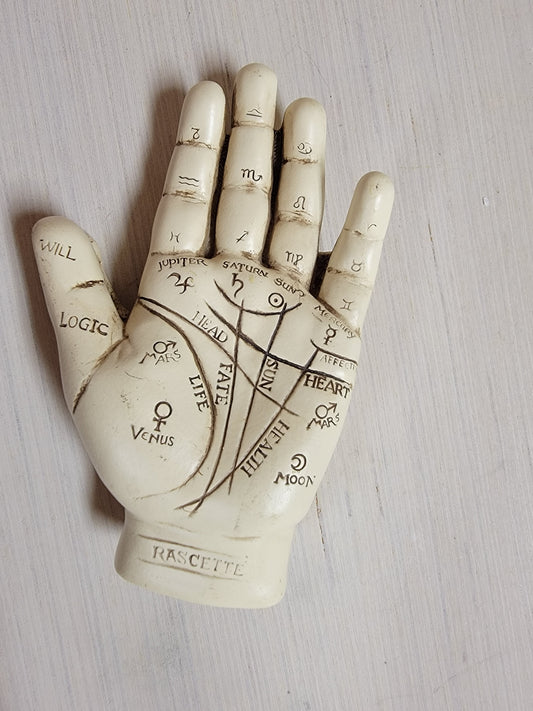 Palmistry Hand