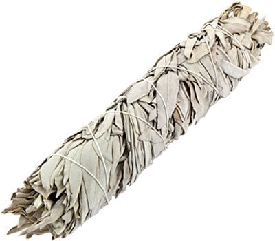 California White Sage Smudge Stick - 9"