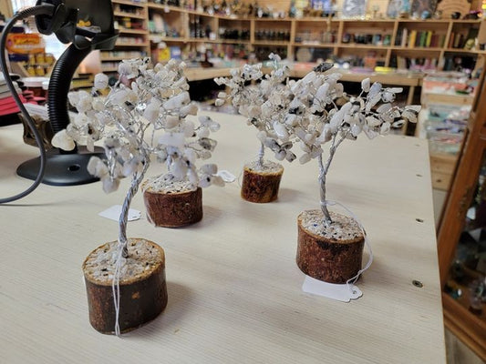 Rainbow Moonstone 100 Gemstone Chip Tree W/Wood Base
