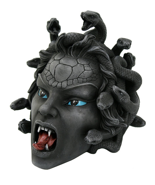 Medusa Head