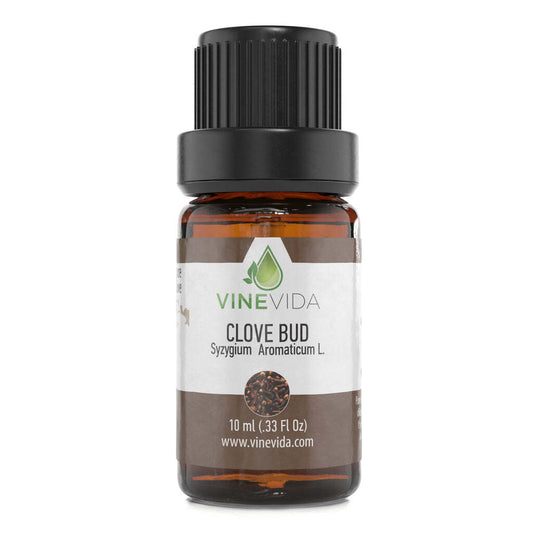 Natural Clove Bud Essential Oil - 100% Pure Undiluted Therapeutic Grade Clove Bud Oil by VINEVIDA - 10 mL Clove Bud Diffuser Aromatherapy - Clove Bud Oil for Digestion, Energy, Pain & More