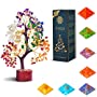Gem Tree W7 Sep Chakras