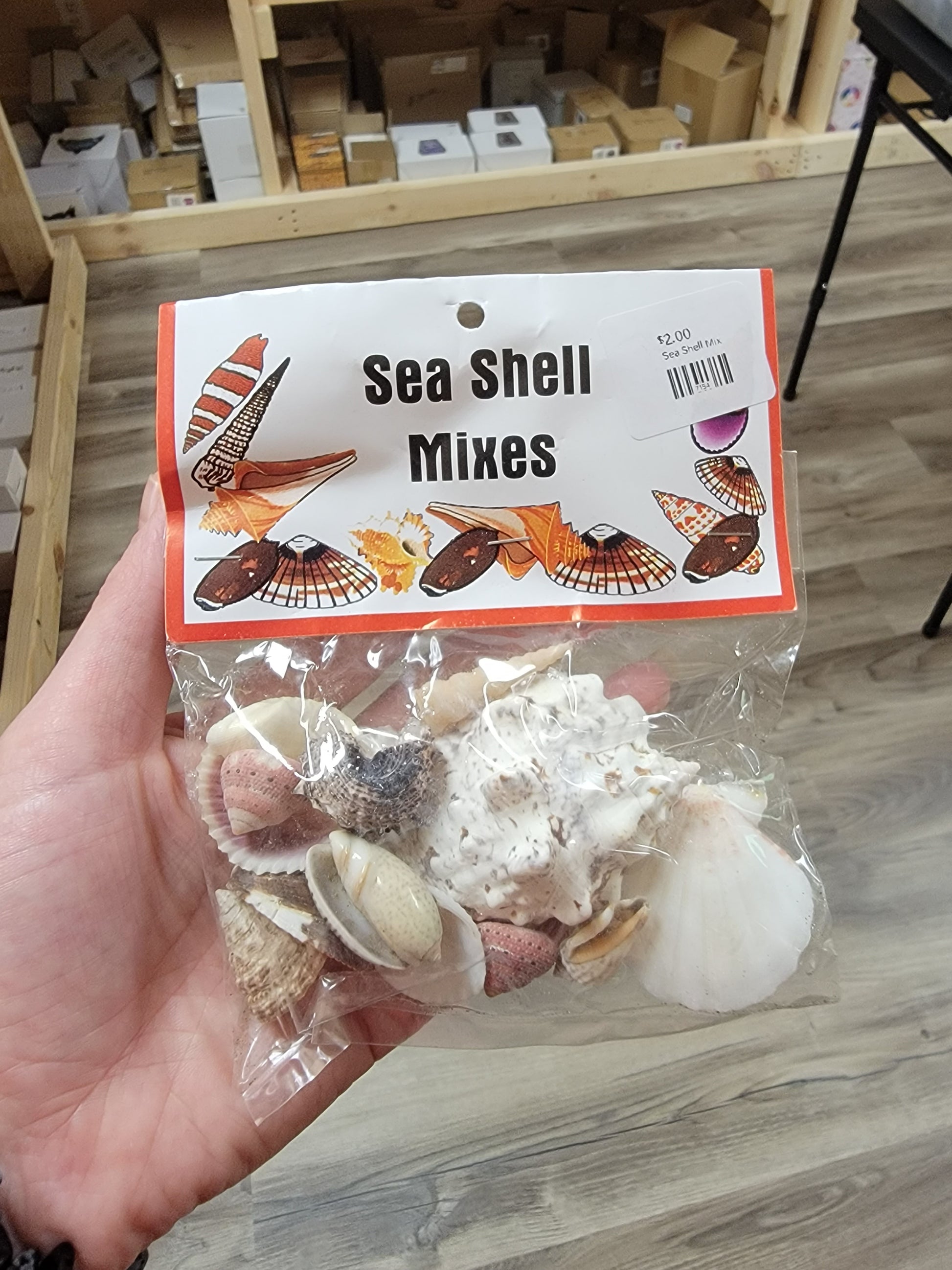 Sea Shell Mix